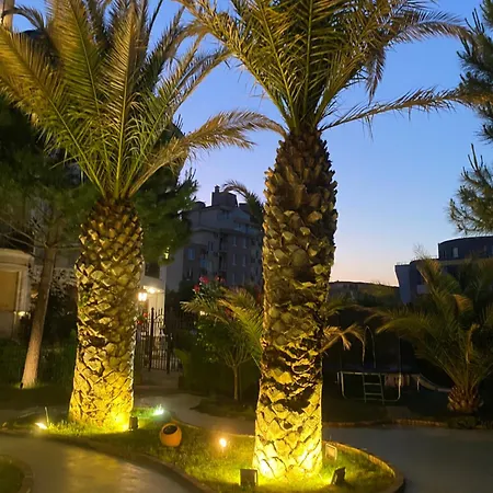 Messembria B503 Σάνι Μπιτς